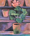 010_Bloom_Where_You_Are_Planted