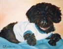 080_Rocky