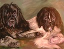 110_Harley_and_Davey