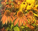 Black Eyed Susans