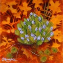 Blue-Buds