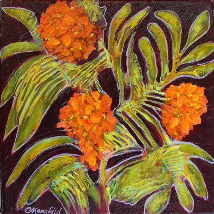 Orange-Butterfly-Plant-1
