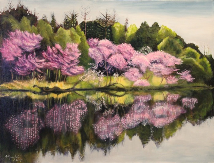 Redbuds