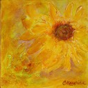 Sunflower-3