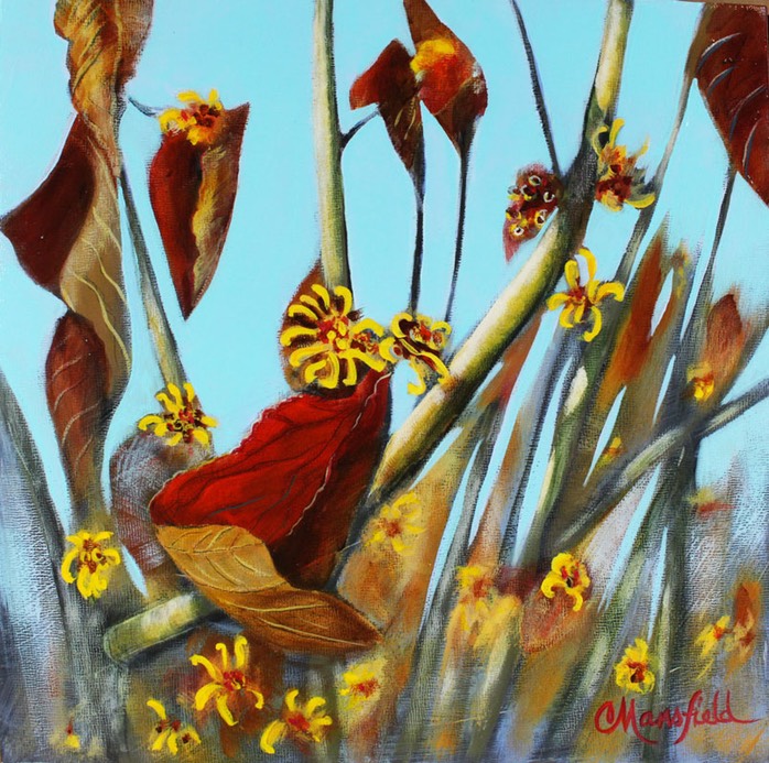 Witch-Hazel